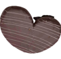Palmera Kinder
